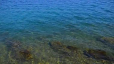 Hırvat Adriyatik Denizi kıyısında