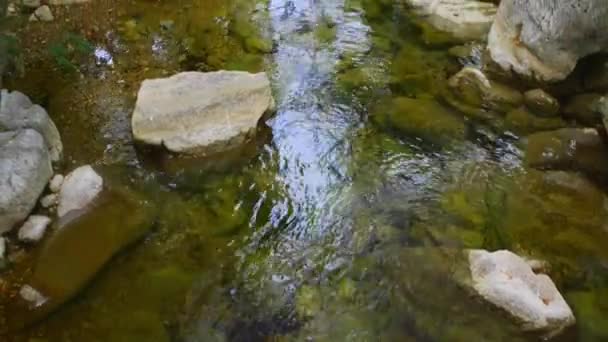 Canyon do rio Velika Paklenica karst — Vídeo de Stock