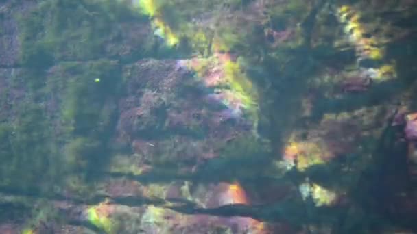 Felsiger Meeresboden im Mittelmeer — Stockvideo