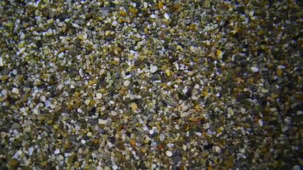 Little pebble in shallow waters — Stock Video