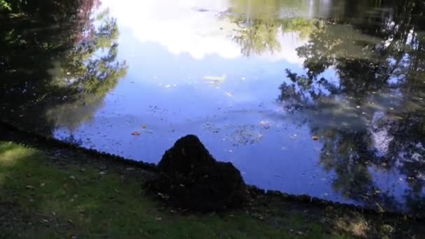 Lake in de buurt van Wilanow paleis, Warsaw, Polen — Stockvideo