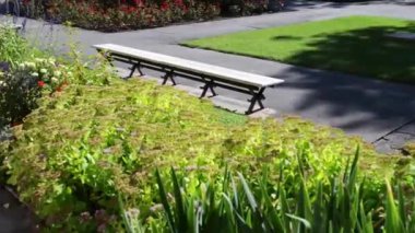 Wilanow Sarayı, Varşova, Polonya ile yakın park