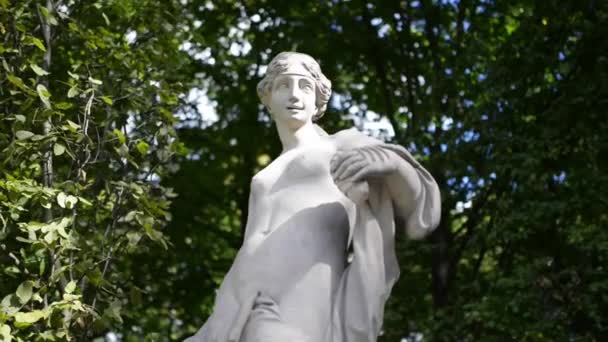 Esculturas en el parque del Palacio de Wilanow, Varsovia — Vídeo de stock