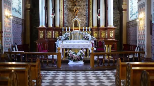 Franziskanische Kathedrale in Sanok, Polen — Stockvideo