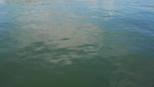 Puerto de Génova en el mar Mediterráneo — Vídeos de Stock