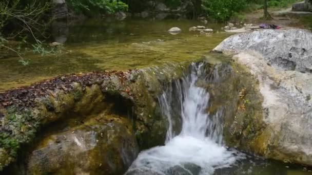 Petite fille est engagée dans la marche nordique — Video