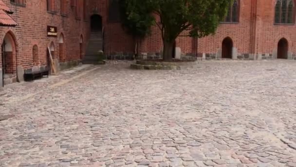 Замок Тевтонского ордена в Мальборке, Польша — стоковое видео