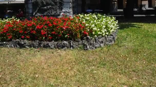 Monument van Francesco Nullo in Bergamo, Italië — Stockvideo