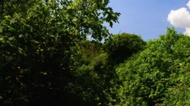 Milli Park Krka Hırvat biridir