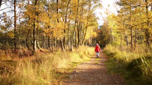 Belle petite fille va sur le sentier — Video