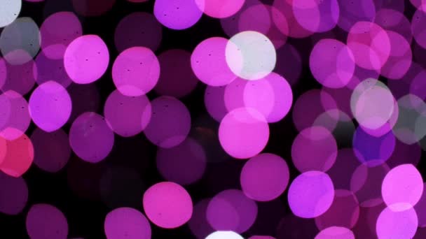 Bokeh hellviolette Farbe — Stockvideo