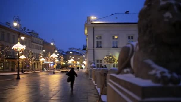 바르샤바에서 프린스 조셉 Poniatowski의 동상 — 비디오