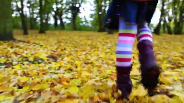 Mooi meisje op herfst stadspark — Stockvideo