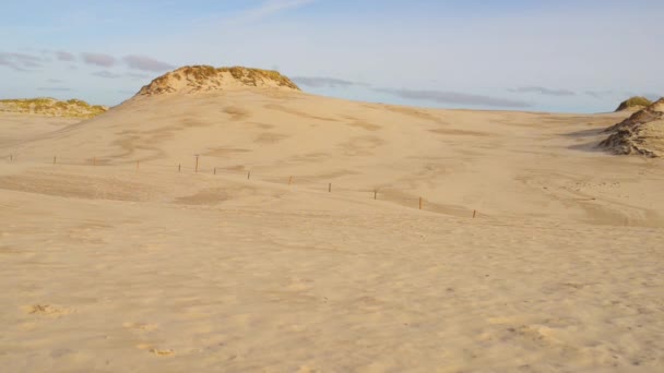 Little girl on the white sand dunes of Leba — Stock Video