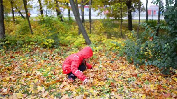 Smiling little girl in throws yellow leaves up — Stock Video