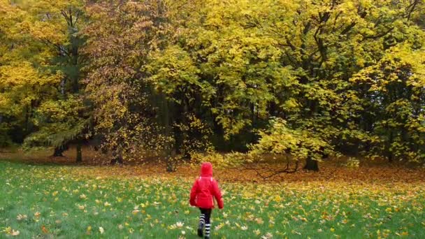 Lilla vackra flicka på hösten stadsparken — Stockvideo