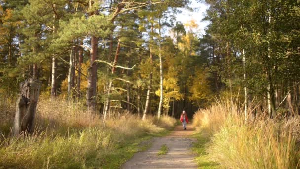 Belle petite fille va sur le sentier — Video