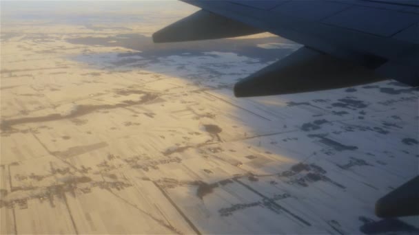 Flugzeug fliegt über verschneite Felder — Stockvideo