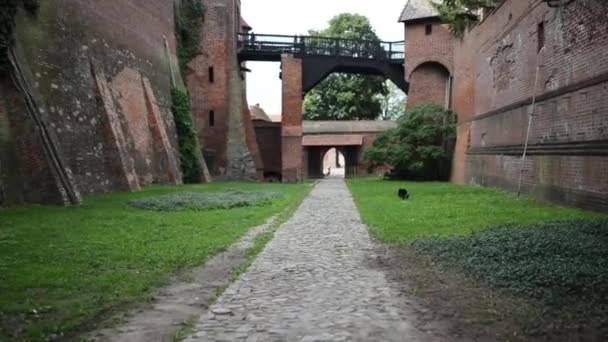 Castello dell'Ordine Teutonico a Malbork, Polonia — Video Stock