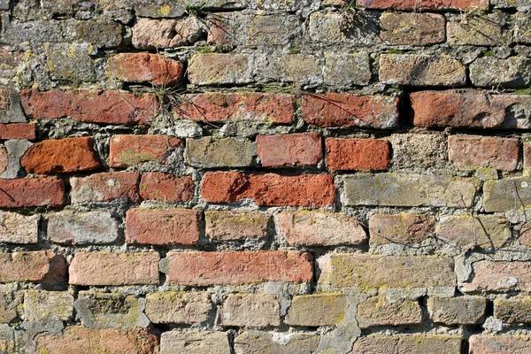 Antiguo muro de ladrillo —  Fotos de Stock