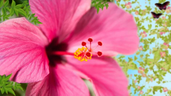 Blume großer Plan Stockbild