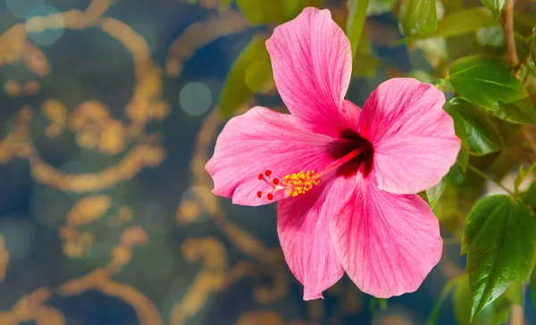 Schöne große Blume lizenzfreie Stockbilder