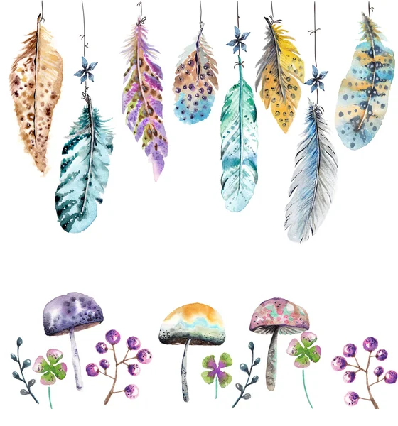 Ručně kreslenou barevný akvarel peří a houbami — Stock fotografie
