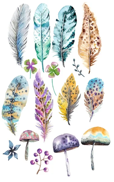 Plumes d'aquarelle colorées dessinées à la main et champignons — Photo