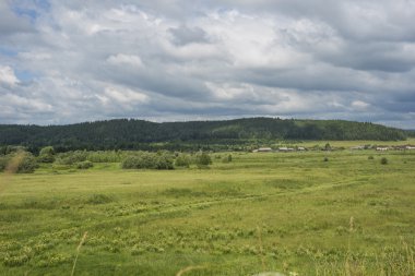 yabani otlar ve köy ile çayır