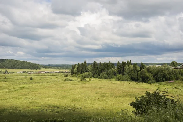 Meadow with wild herbs and village — Stock Photo, Image