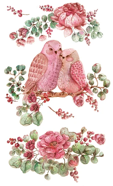 Rosen, Blätter und Vögel. Aquarell-Illustration über weißem Backg — Stockfoto