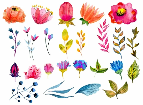 Mooie aquarel bloem set — Stockvector