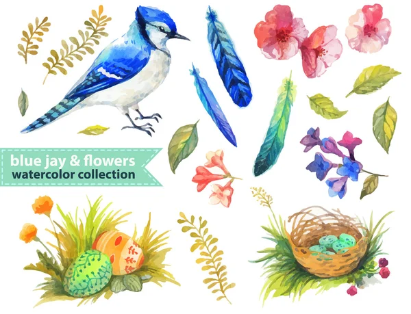 Blue jay en bloemen collectie — Stockvector