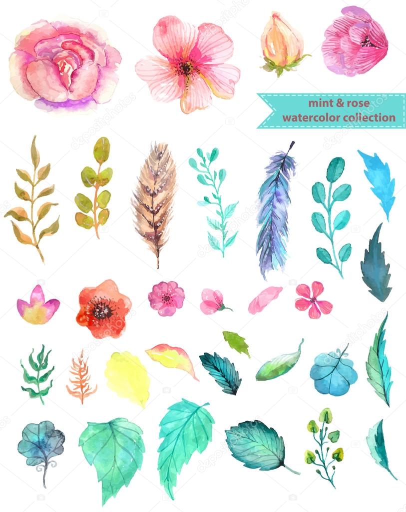 Watercolor floral collection