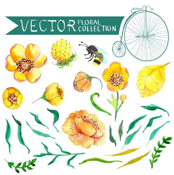 水彩の黄色と緑の花と蜂コレクション — ストックベクタ