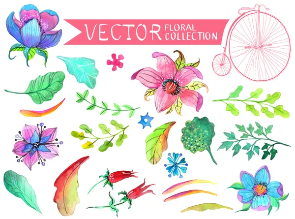 Watercolor flowers collection — Stock Vector