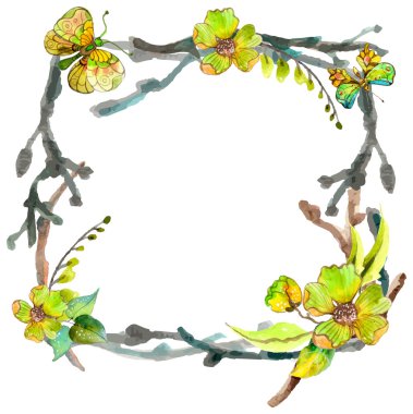 Suluboya kelebek ve şube arka plan