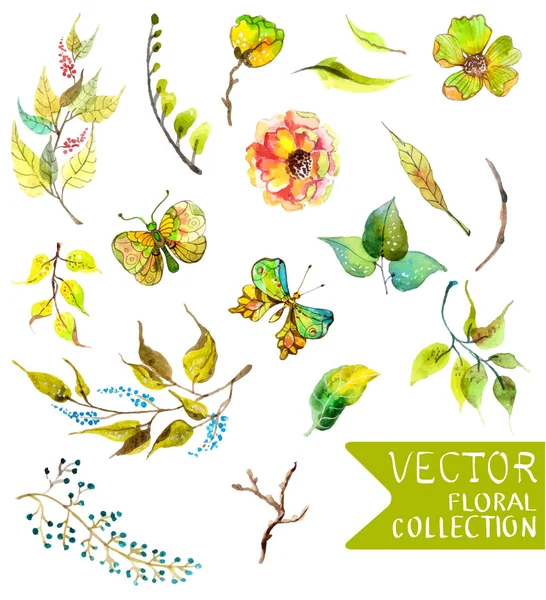 Watercolor flowers collection for different design — Stock Vector