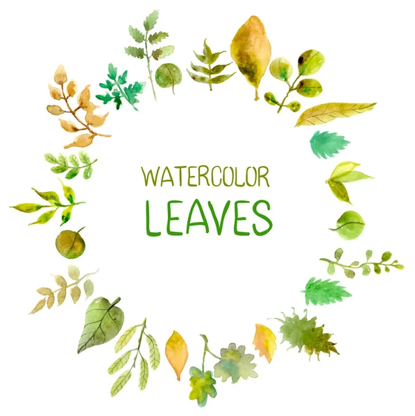 Watercolor leaves collection — Stock Vector