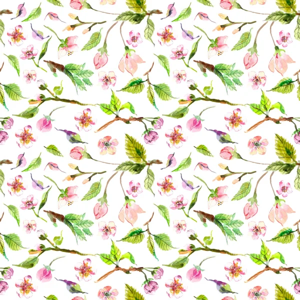 Akvarell apple blommor seamless mönster — Stockfoto