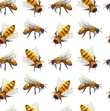 Watercolor seamless pattern with bee