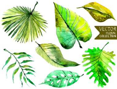 Watercolor Floral background with Tropical leaves for beautiful 