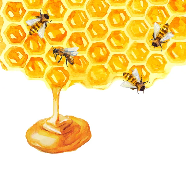 Watercolor Honeycomd and bee — Stockvector