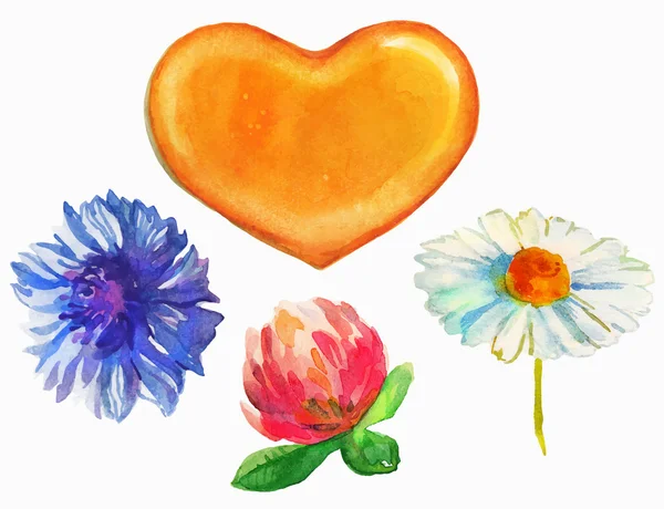Watercolor Honey heart and flowers — Stok Vektör