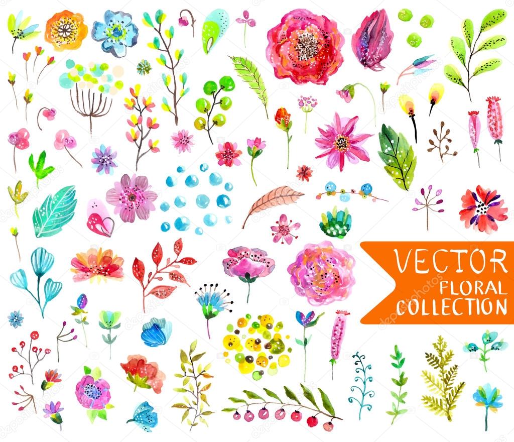 Watercolor flowers collection for different design