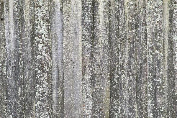 Wood texture — Stock Photo, Image