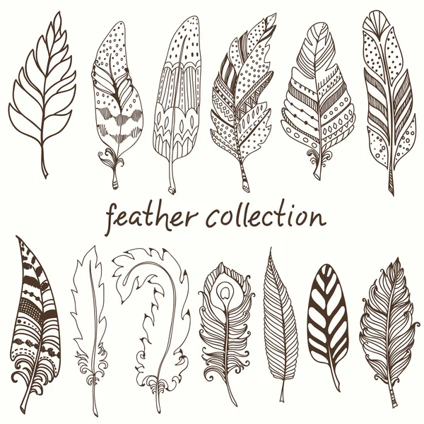 Rustic decorative feathers — Stock Vector