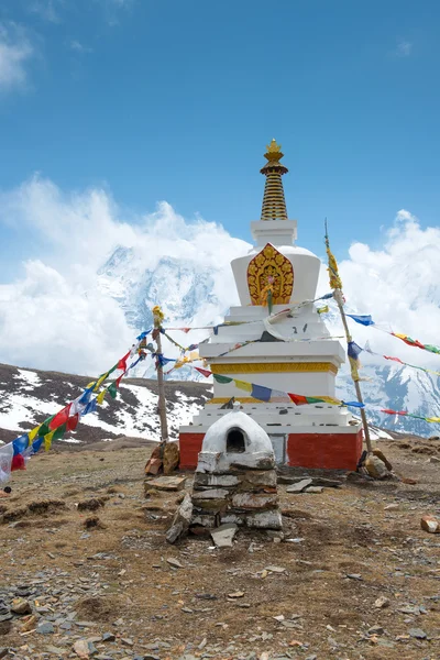 Budist stupa renkli bayraklar ile — Stok fotoğraf