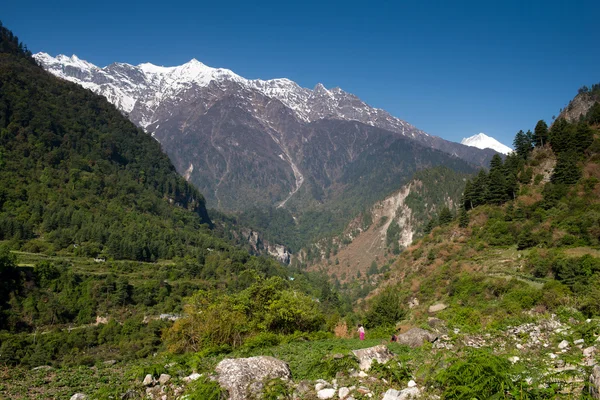annapurna devresi