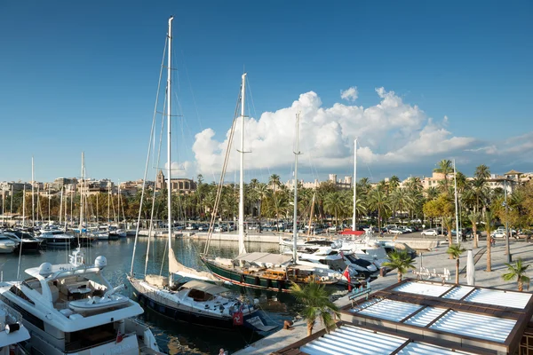 View on the  Real Club Nautico in Palma — Stock Photo, Image